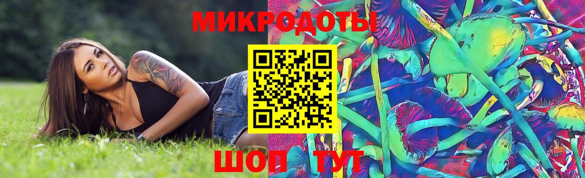 Галлюциногенные грибы Psilocybe Чебоксары